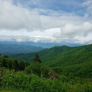 Meet your Posher, Lacy